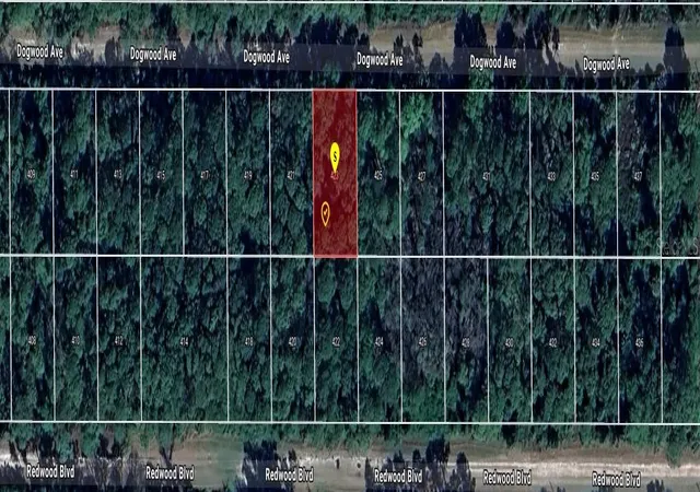 Photo 1 of Land for sale at 423 Dogwood Ave, Georgetown, FL 32139 | MLS# O6442892 | Listing updated on 2026-09-18
