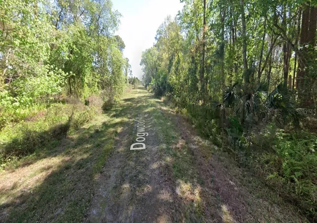 Photo 2 of Land for sale at 423 Dogwood Ave, Georgetown, FL 32139 | MLS# O6442892 | Listing updated on 2026-09-18