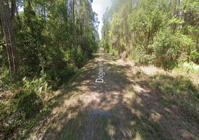 Photo 3 of Land for sale at 423 Dogwood Ave, Georgetown, FL 32139 | MLS# O6442892 | Listing updated on 2026-09-18