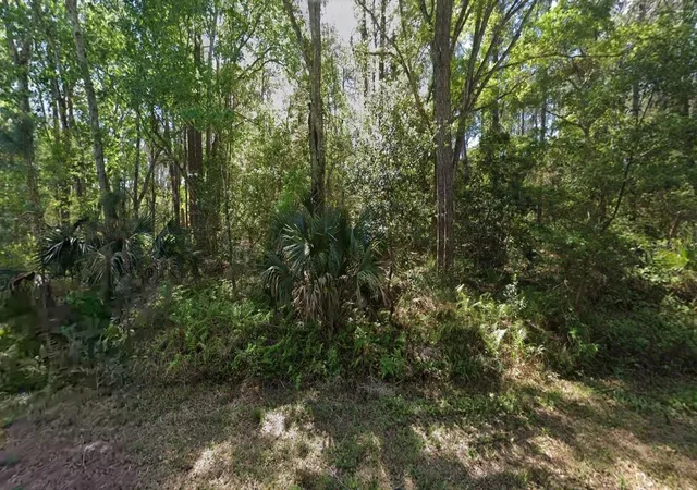 Photo 3 of Land for sale at 423 Dogwood Ave, Georgetown, FL 32139 | MLS# O6442892 | Listing updated on 2026-09-18