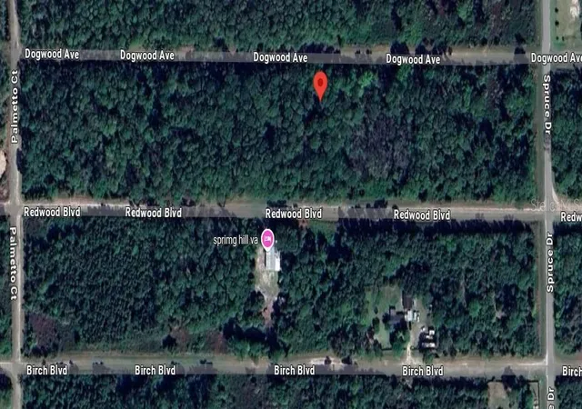 Photo 4 of Land for sale at 423 Dogwood Ave, Georgetown, FL 32139 | MLS# O6442892 | Listing updated on 2026-09-18