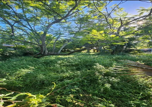 Land for sale at 0 Erie S St Petersburg, Saint Petersburg, FL 33712 | MLS# O6442910