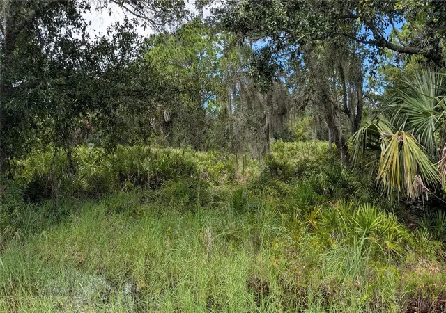 Land for sale at 3241 Douglas Rd, Punta Gorda, FL 33980 | MLS# N6145818