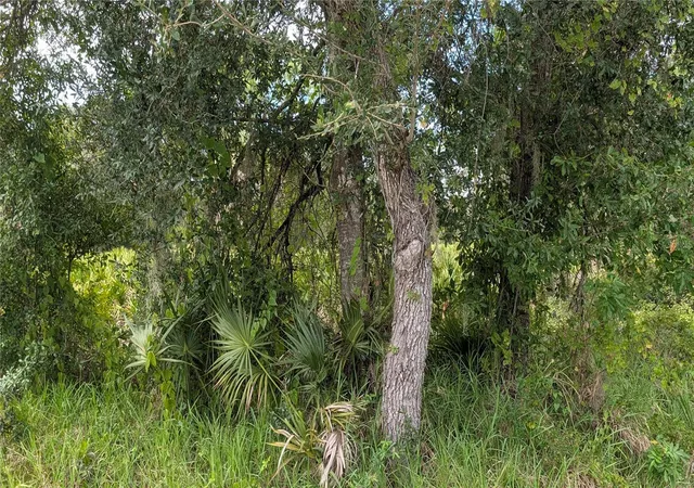 Photo 2 of Land for sale at 3241 Douglas Rd, Punta Gorda, FL 33980 | MLS# N6145818 | Listing updated on 2026-09-24