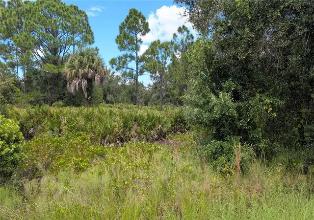 Photo 3 of Land for sale at 3241 Douglas Rd, Punta Gorda, FL 33980 | MLS# N6145818 | Listing updated on 2026-09-24