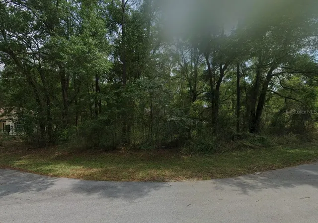 Land for sale at Lot SW 41 96th Street, DUNNELLON, FL 34432 | MLS# O6442950