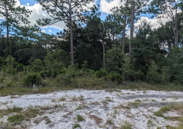 Land for sale at Xxx Wedgewood Cir, MOUNT DORA, FL 32757 | MLS# G5117986