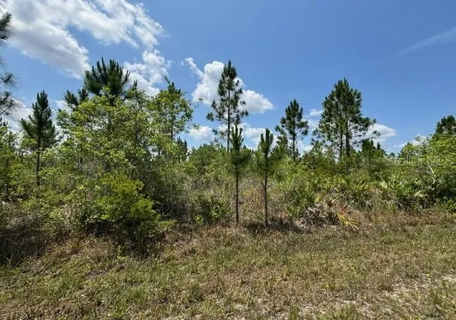 Land for sale at 1015 Calliandra Dr, INDIAN LAKE ESTATES, FL 33855 | MLS# P4939931