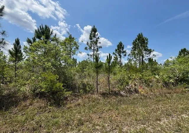 Photo 1 of Land for sale at 1015 Calliandra Dr, Indian Lake Estates, FL 33855 | MLS# P4939931 | Listing updated on 2026-09-21
