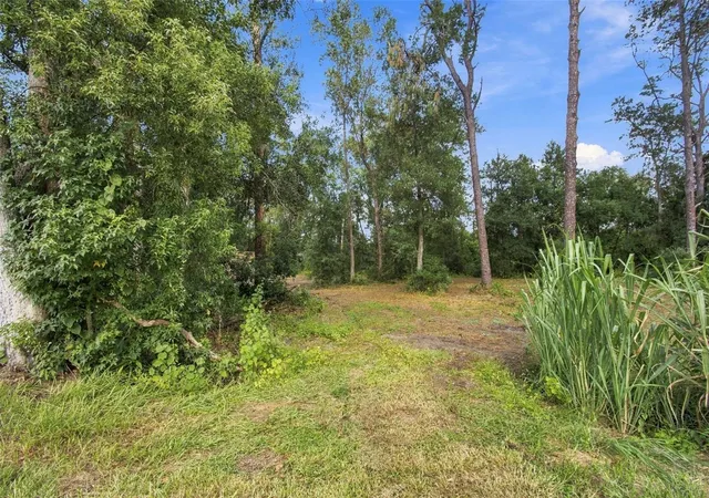 Photo 4 of Land for sale at 867 Sunset Ln, Lutz, FL 33549 | MLS# TB8549955 | Listing updated on 2026-09-23