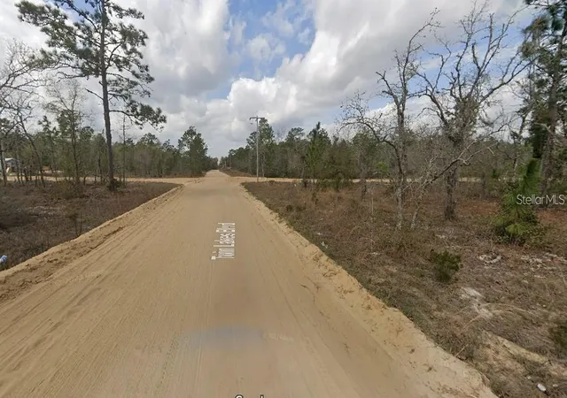 Photo 2 of Land for sale at 1137 Twin Lakes Blvd, Interlachen, FL 32148 | MLS# O6443045 | Listing updated on 2026-10-12