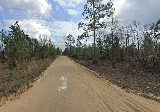 Photo 3 of Land for sale at 1137 Twin Lakes Blvd, Interlachen, FL 32148 | MLS# O6443045 | Listing updated on 2026-10-12