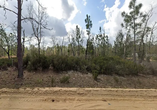 Photo 3 of Land for sale at 1137 Twin Lakes Blvd, Interlachen, FL 32148 | MLS# O6443045 | Listing updated on 2026-10-12
