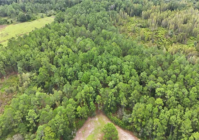 Photo 2 of Land for sale at 25 26 21 000000 032160, Polk City, FL 33868 | MLS# O6443046 | Listing updated on 2026-10-01