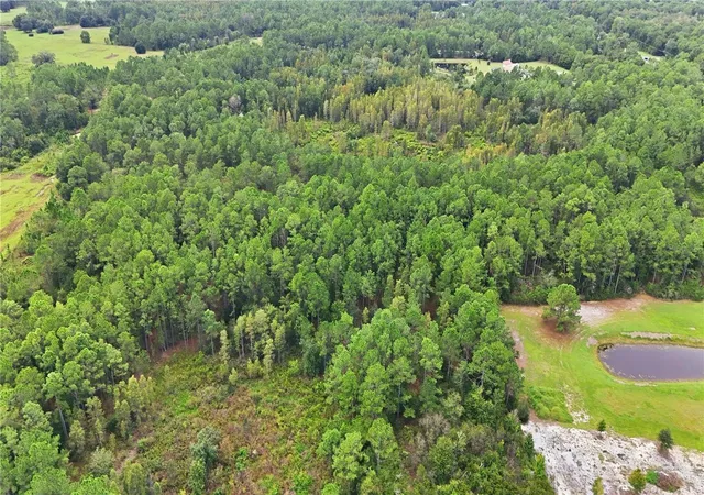 Photo 4 of Land for sale at 25 26 21 000000 032160, Polk City, FL 33868 | MLS# O6443046 | Listing updated on 2026-10-01
