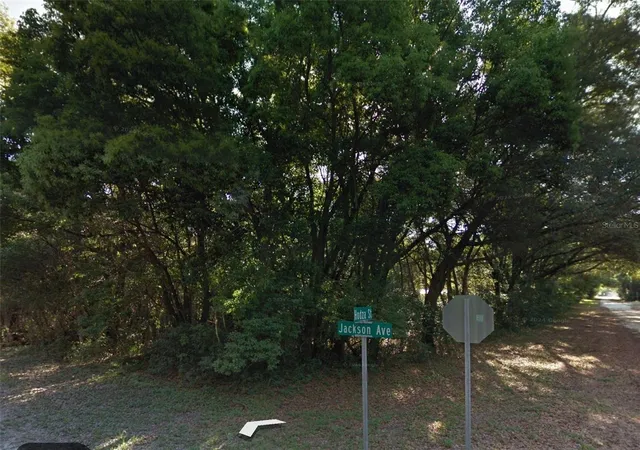 Photo 2 of Land for sale at 0 Jackson Ave, Brooksville, FL 34604 | MLS# W7889631 | Listing updated on 2026-09-23