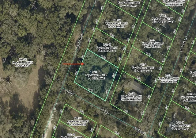 Photo 3 of Land for sale at 0 Jackson Ave, Brooksville, FL 34604 | MLS# W7889631 | Listing updated on 2026-09-23