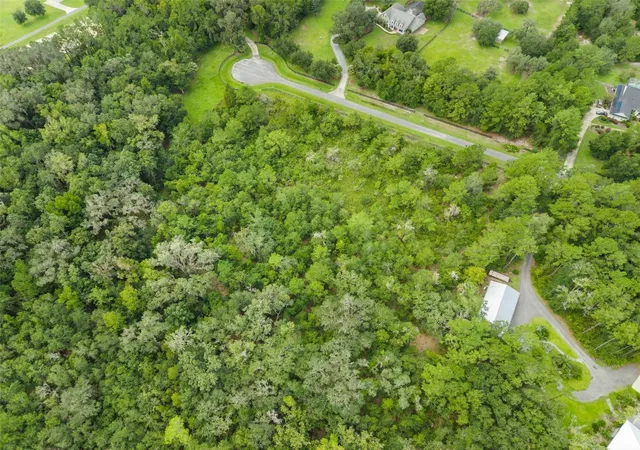 Photo 4 of Land for sale at 12563 SW 17th Drive, Micanopy, FL 32667 | MLS# TB8550060 | Listing updated on 2026-09-30