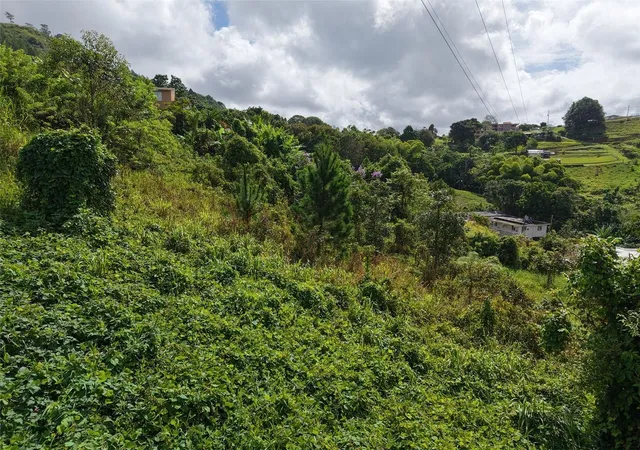 Photo 1 of Land for sale at Pr 772 Km 49 Cañabon Ward, Barranquitas, PR 00794 | MLS# PR9124296 | Listing updated on 2026-09-19