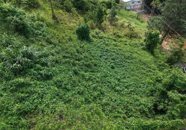 Photo 4 of Land for sale at Pr 772 Km 49 Cañabon Ward, Barranquitas, PR 00794 | MLS# PR9124296 | Listing updated on 2026-09-19