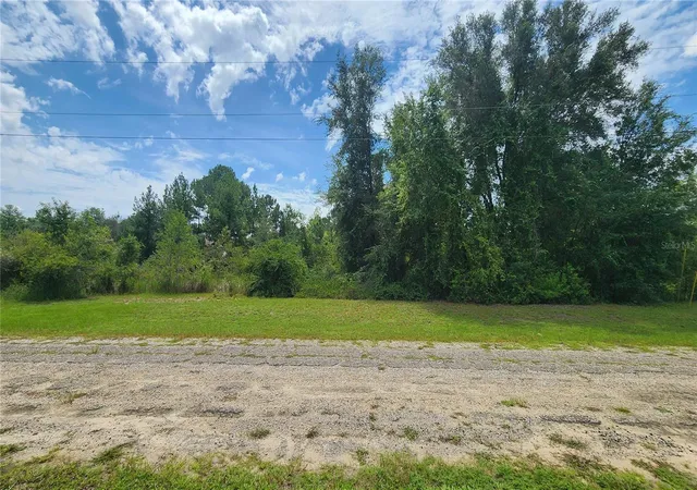 Land for sale at 608 E Irene Ln, CITRUS SPRINGS, FL 34434 | MLS# OM732551