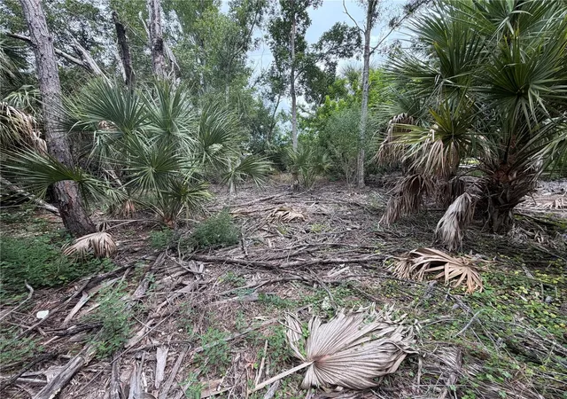 Photo 3 of Land for sale at 3405 Vasco St, Punta Gorda, FL 33950 | MLS# C7530941 | Listing updated on 2026-09-28