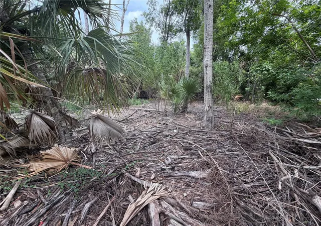 Photo 4 of Land for sale at 3405 Vasco St, Punta Gorda, FL 33950 | MLS# C7530941 | Listing updated on 2026-09-28