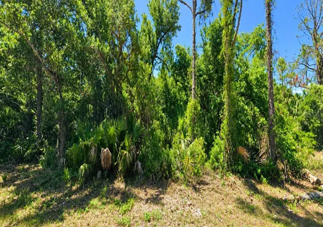 Photo 2 of Land for sale at Dragon St, North Port, FL 34288 | MLS# OM732557 | Listing updated on 2026-09-19