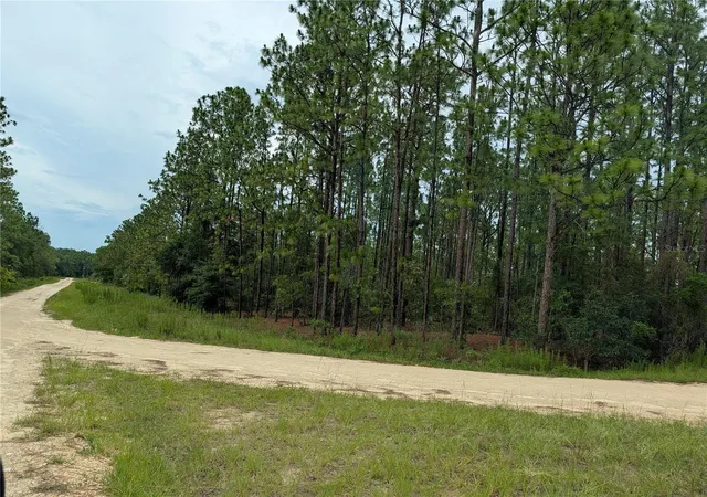 Photo 1 of Land for sale at Sw Tbd 125th Ct Rd, Ocala, FL 34481 | MLS# OM732568 | Listing updated on 2026-09-21