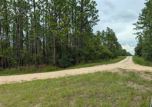 Photo 2 of Land for sale at Sw Tbd 125th Ct Rd, Ocala, FL 34481 | MLS# OM732568 | Listing updated on 2026-09-21