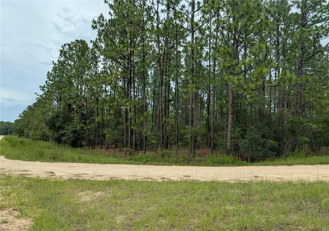 Photo 3 of Land for sale at Sw Tbd 125th Ct Rd, Ocala, FL 34481 | MLS# OM732568 | Listing updated on 2026-09-21