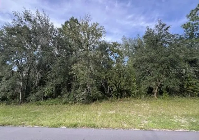 Photo 2 of Land for sale at Tbd Sw 146th Lane Rd, Ocala, FL 34473 | MLS# GC543637 | Listing updated on 2026-09-20