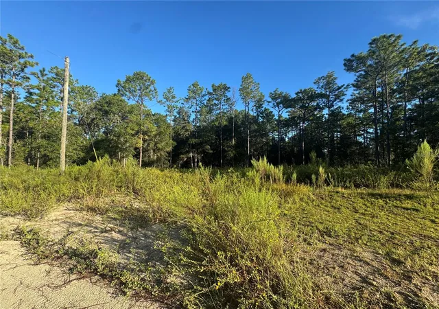 Land for sale at 16327 SW 24th Place, OCALA, FL 34481 | MLS# OM732575