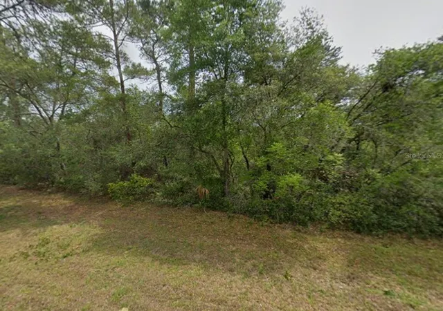 Photo 2 of Land for sale at Tbd SW 31 Court, Ocala, FL 34473 | MLS# O6443320 | Listing updated on 2026-09-25