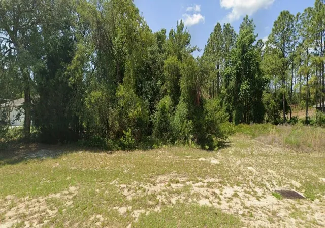Land for sale at Tbd SW 135 Street, OCALA, FL 34473 | MLS# O6443325