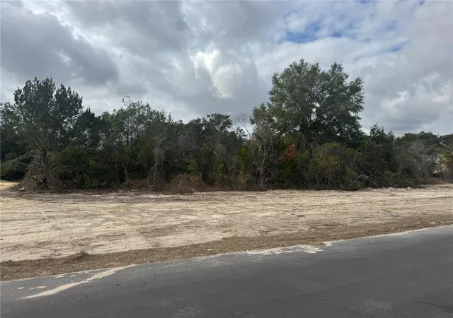 Photo 3 of Land for sale at 20412 Us Hwy 441, High Springs, FL 32643 | MLS# TB8550323 | Listing updated on 2026-09-20