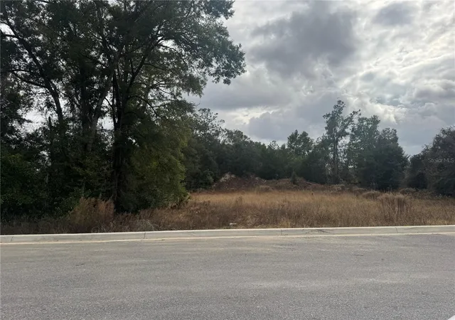 Photo 3 of Land for sale at 20412 US Hwy 441, High Springs, FL 32643 | MLS# TB8550323 | Listing updated on 2026-09-20