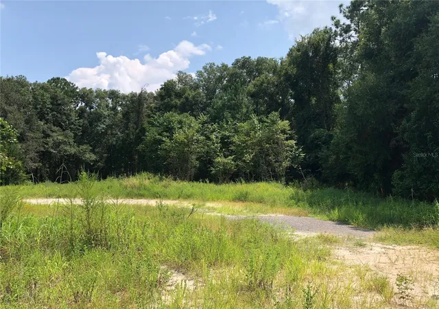 Photo 4 of Land for sale at 20412 US Hwy 441, High Springs, FL 32643 | MLS# TB8550323 | Listing updated on 2026-09-20