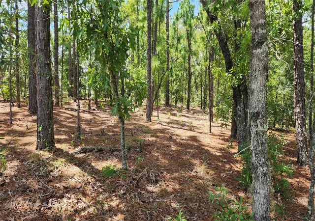 Photo 3 of Land for sale at 7760 N Pocono Dr, Citrus Springs, FL 34434 | MLS# OM732583 | Listing updated on 2026-09-20