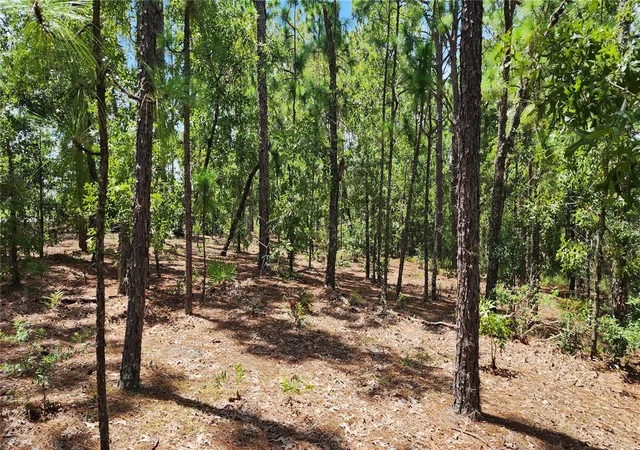 Photo 4 of Land for sale at 7760 N Pocono Dr, Citrus Springs, FL 34434 | MLS# OM732583 | Listing updated on 2026-09-20