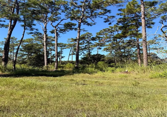 Land for sale at Pow Mia Memorial Dr, Saint Cloud, FL 34772 | MLS# O6443359