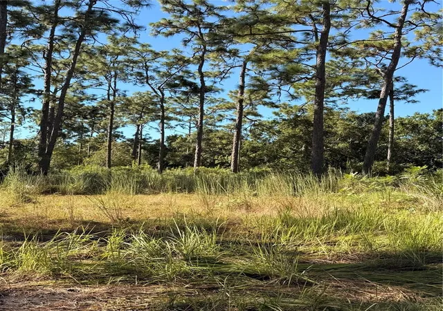 Photo 1 of Land for sale at Pow Mia Memorial Dr, Saint Cloud, FL 34772 | MLS# O6443359 | Listing updated on 2026-09-29