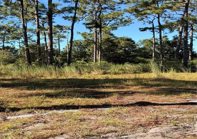 Photo 3 of Land for sale at Pow Mia Memorial Dr, Saint Cloud, FL 34772 | MLS# O6443359 | Listing updated on 2026-09-29