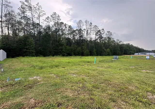 Photo 4 of Single family home for sale at 838 SW 145th Drive, Newberry, FL 32669 | MLS# GC543640 | Listing updated on 2026-09-21