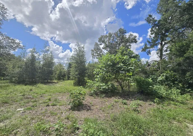 Photo 2 of Land for sale at St Paul Dr, Spring Hill, FL 34610 | MLS# TB8550409 | Listing updated on 2026-09-21