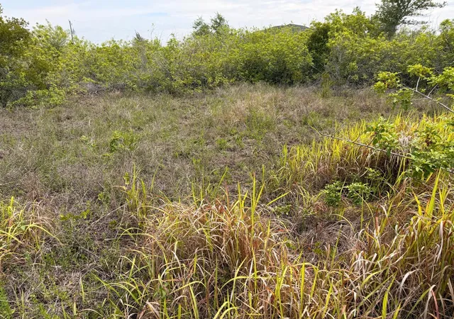 Photo 2 of Land for sale at 15229 Aquarius Cirs, Port Charlotte, FL 33981 | MLS# TB8550413 | Listing updated on 2026-09-20