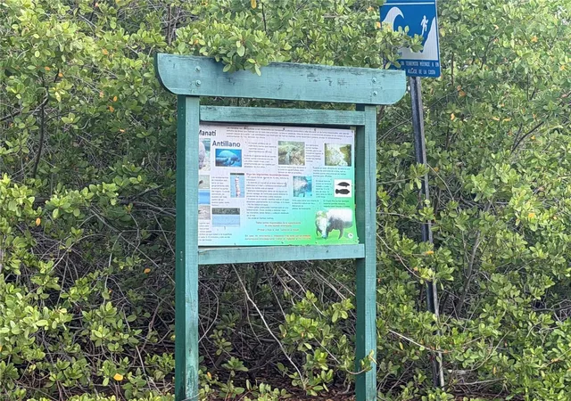 Photo 3 of Land for sale at Carr 303 Km 113 #11.3, Cabo Rojo, PR 00623 | MLS# PR9124335 | Listing updated on 2026-09-22