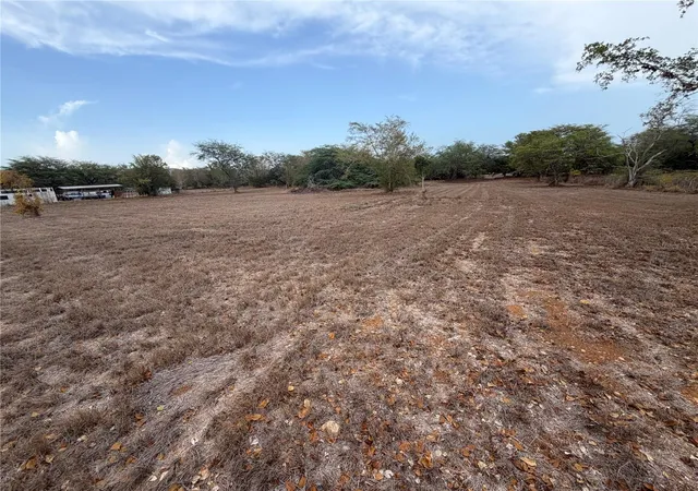 Photo 3 of Land for sale at Carr 303 Km 113 #11.3, Cabo Rojo, PR 00623 | MLS# PR9124335 | Listing updated on 2026-09-22