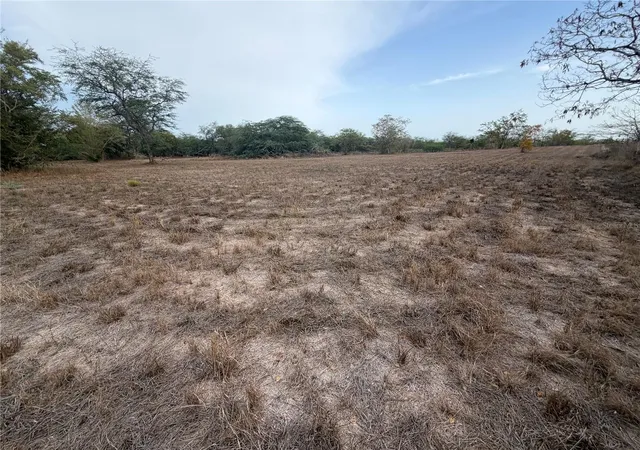 Photo 4 of Land for sale at Carr 303 Km 113 #11.3, Cabo Rojo, PR 00623 | MLS# PR9124335 | Listing updated on 2026-09-22