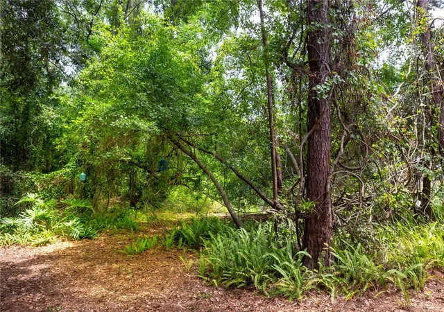 Photo 29 of Single family home for sale at 3938 NW 62nd Lane, GAINESVILLE, FL 32653 | MLS# GC543648 | Listing updated on 2026-10-08